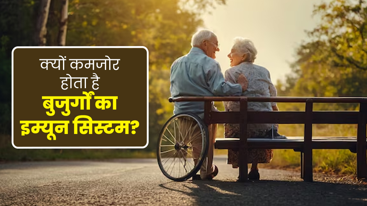 बुजुर्गों का इम्यून सिस्टम क्यों होता है कमजोर? एक्सपर्ट से जानें इम्यूनिटी बढ़ाने के खास टिप्स